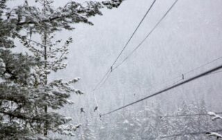 People going down a zip line over snowy trees.